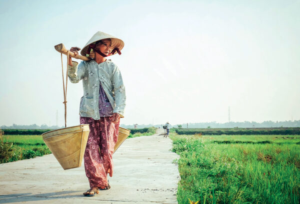 Vietnam - The Travel Den