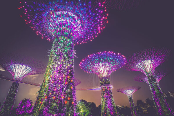 The Travel Den - neon lights and garden by the bay in Singapore